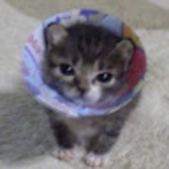 pikupiki